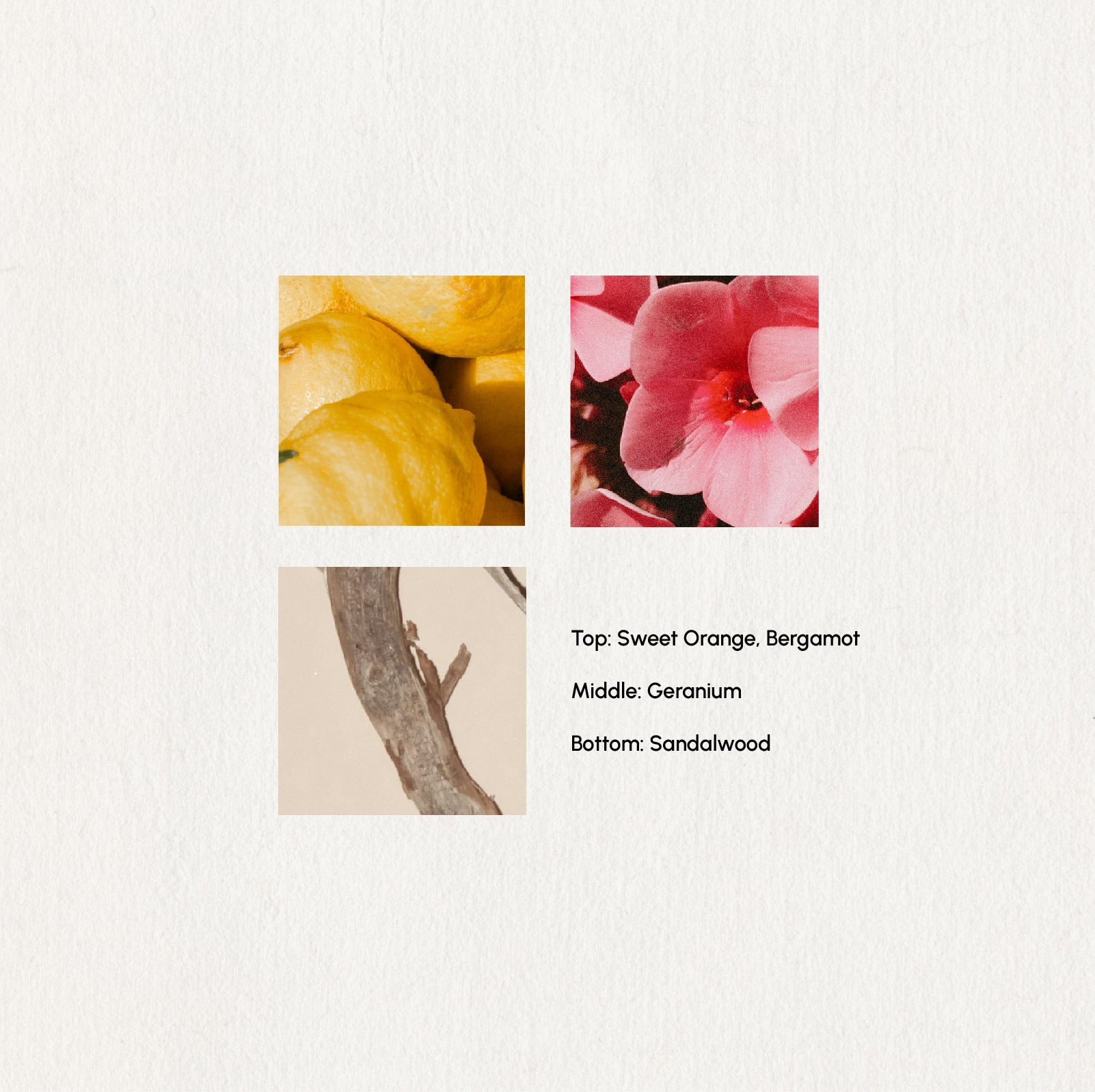 Three square images of different scents with labels on a white background