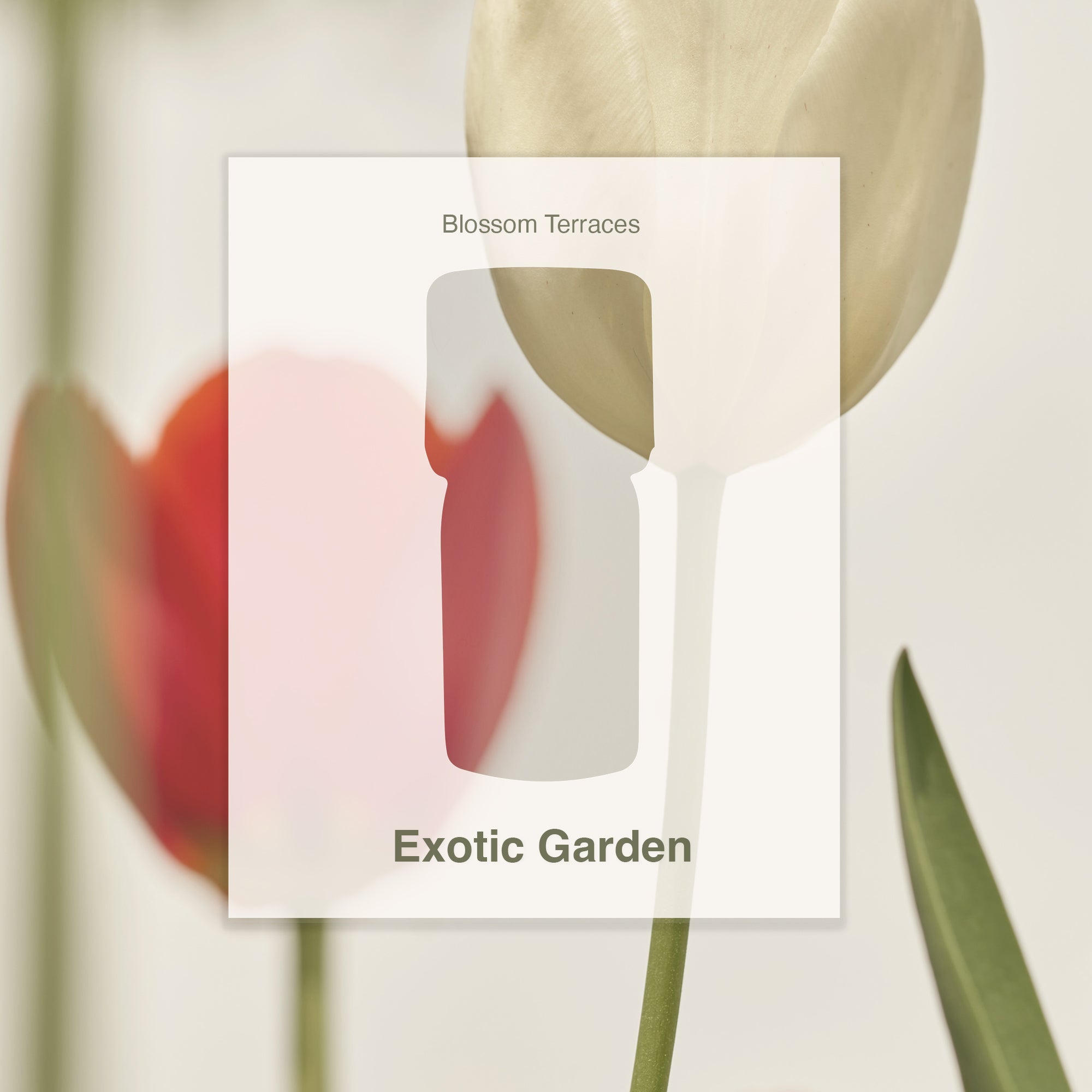 Exotic Garden – Essential Oil Blend · 5ml