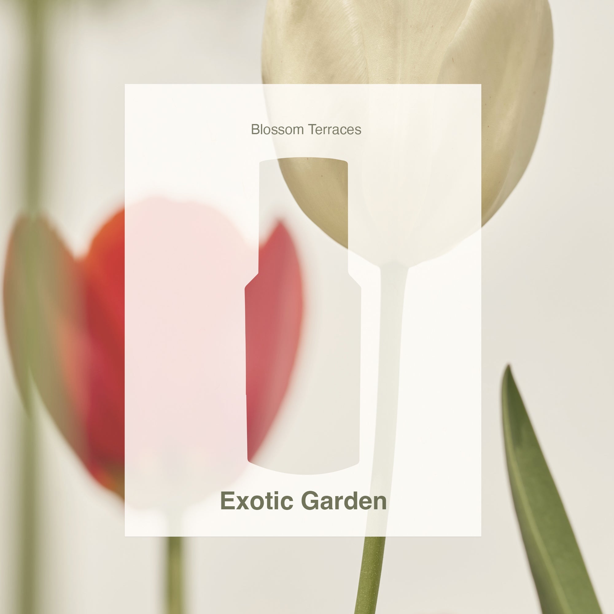Exotic Garden – Room & Linen Spray · 50ml