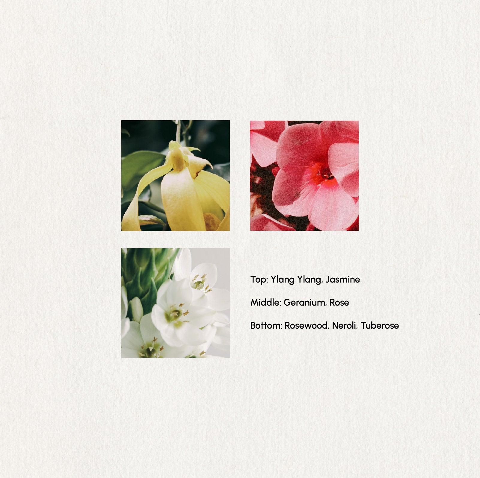 Exotic Garden Essential Oil Blend · 5ml