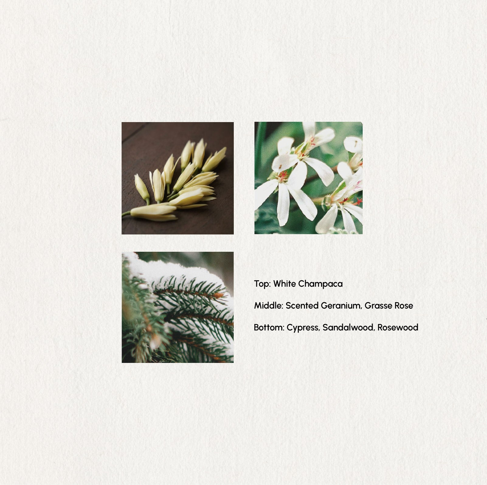 Holy Mountain Essential Oil Blend · 5ml