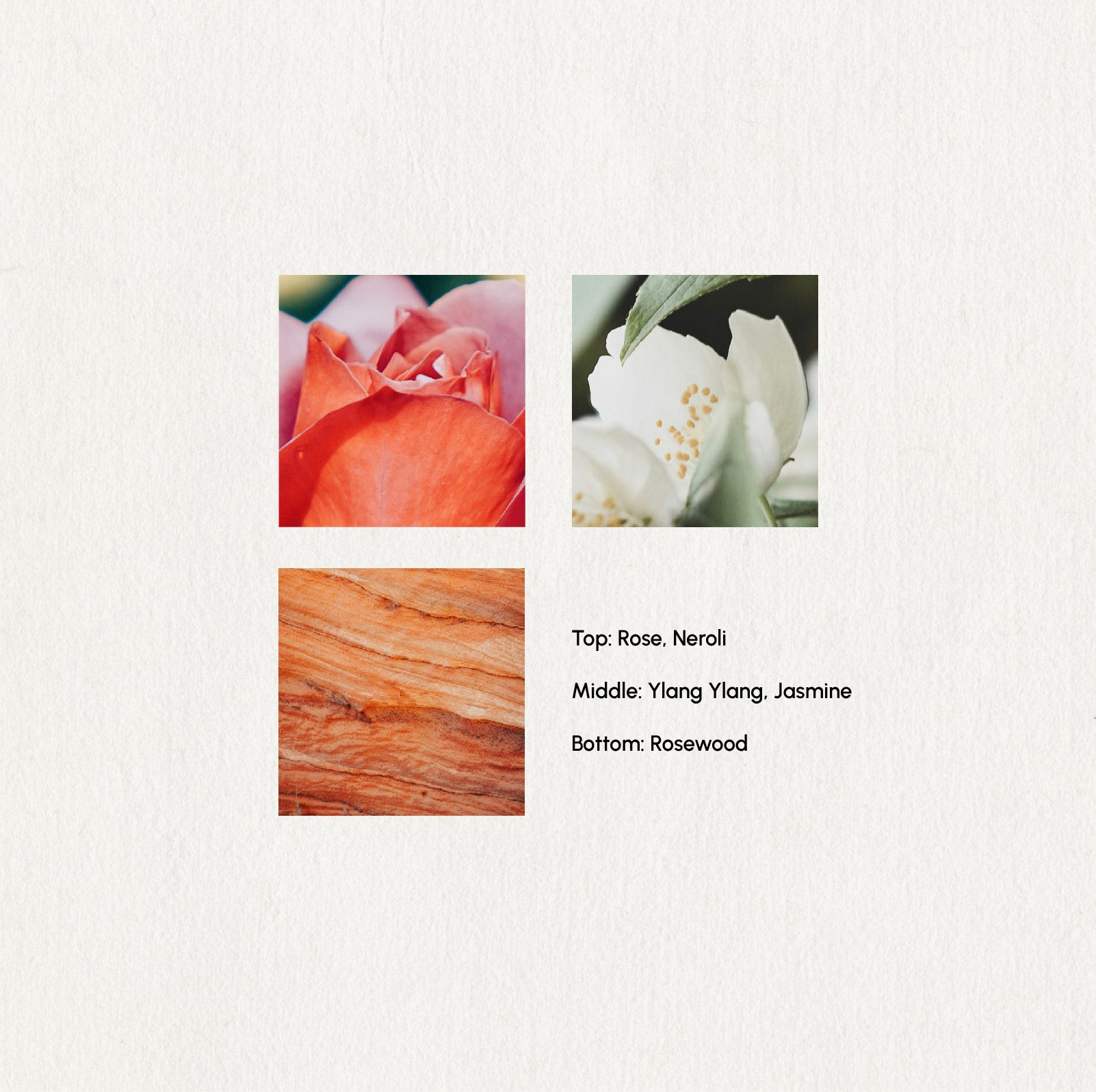 Morning Rose – Room & Linen Spray · 50ml