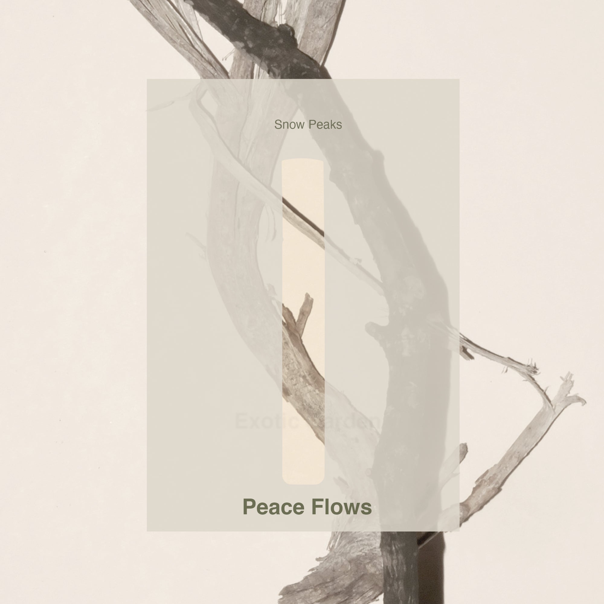 Album cover with tree branches and &