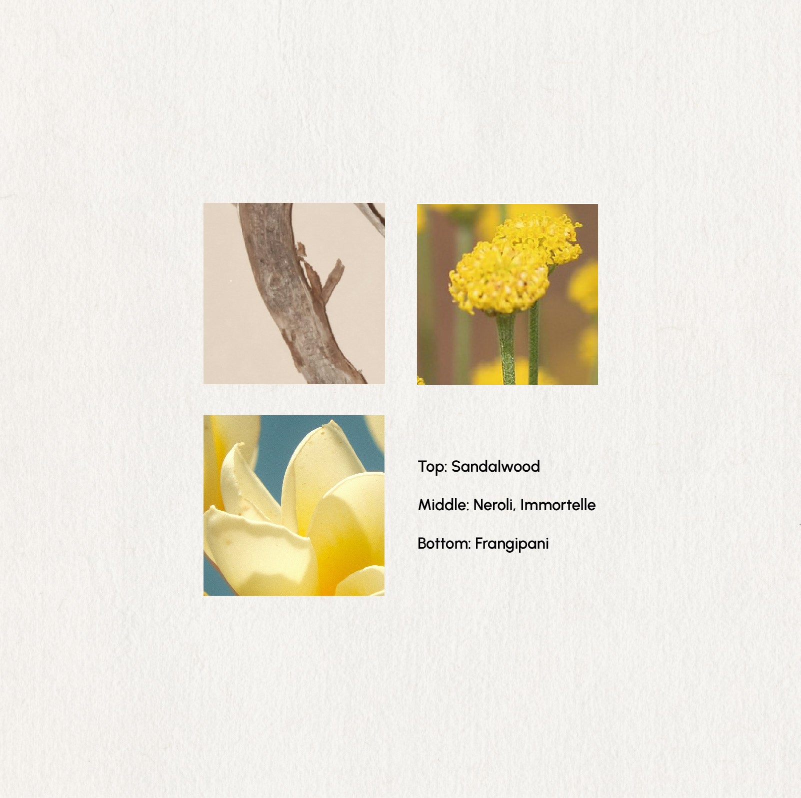 Four square images of sandalwood, neroli, immortelle, and frangipani with labels on a light gray background.