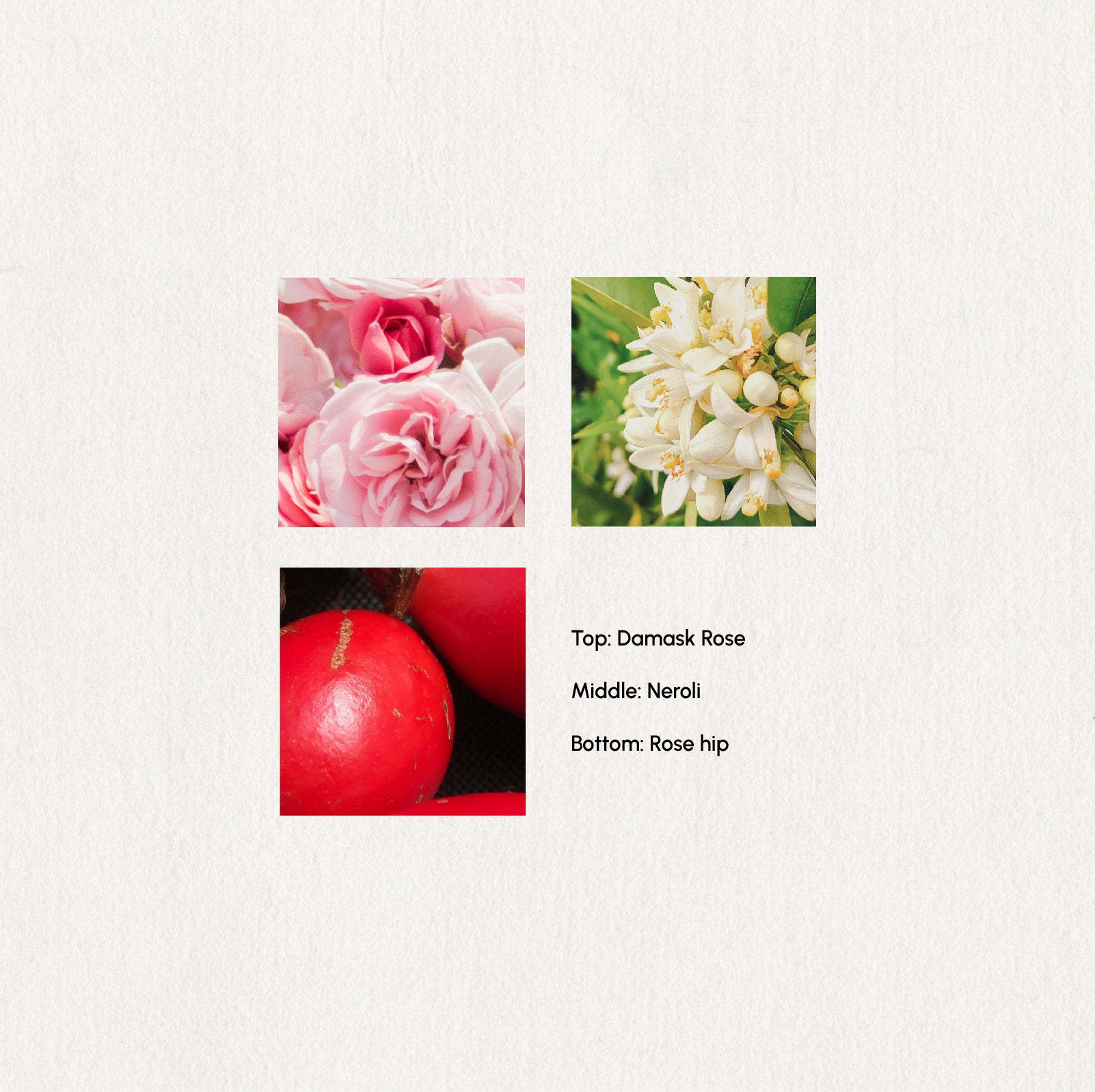 Soft Moments Roll-On · 10ml