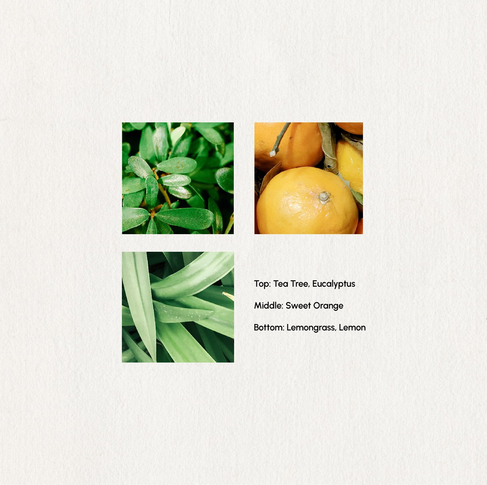 Soothing Greenshower – Room & Linen Spray · 50ml