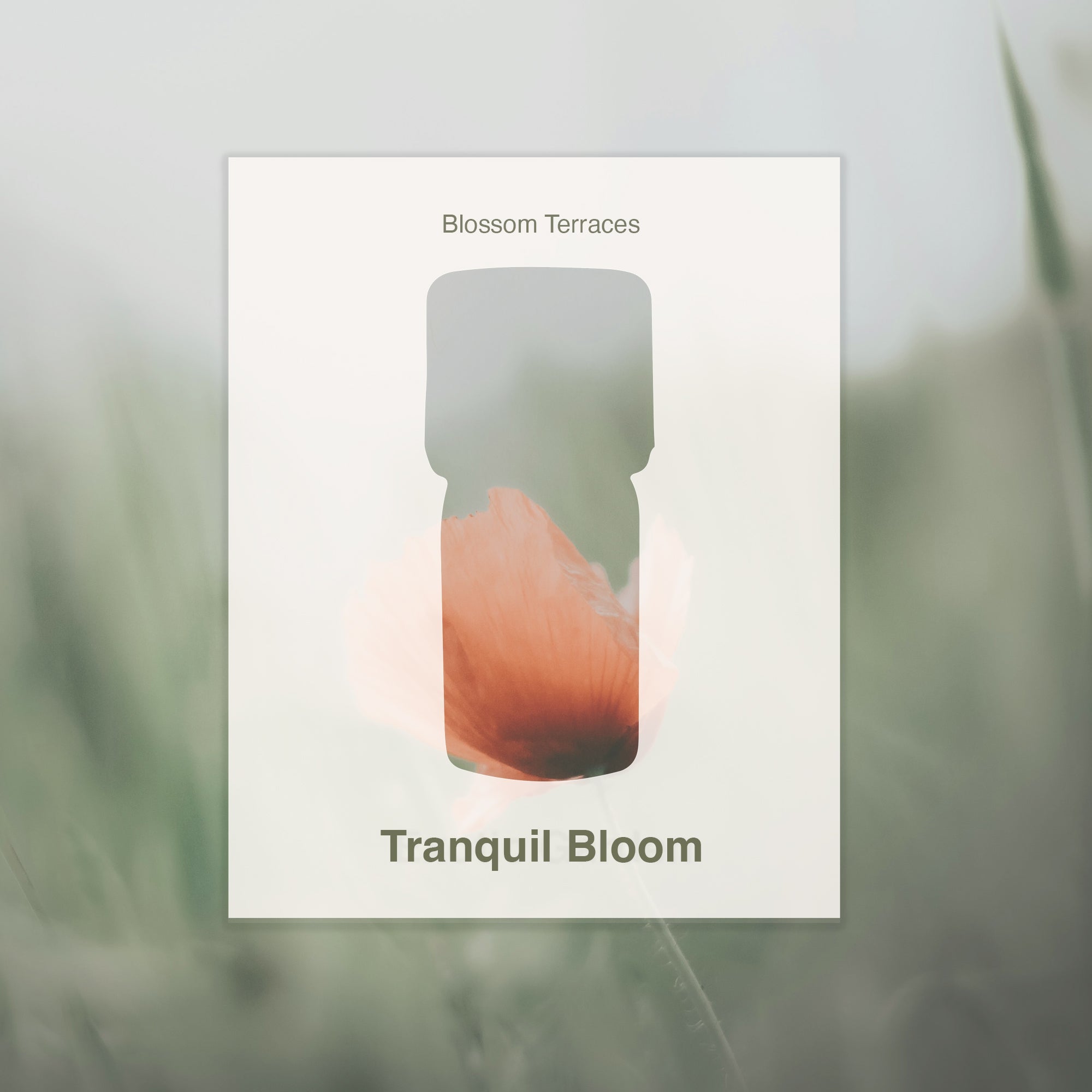 Tranquil Bloom – Essential Oil Blend · 5ml