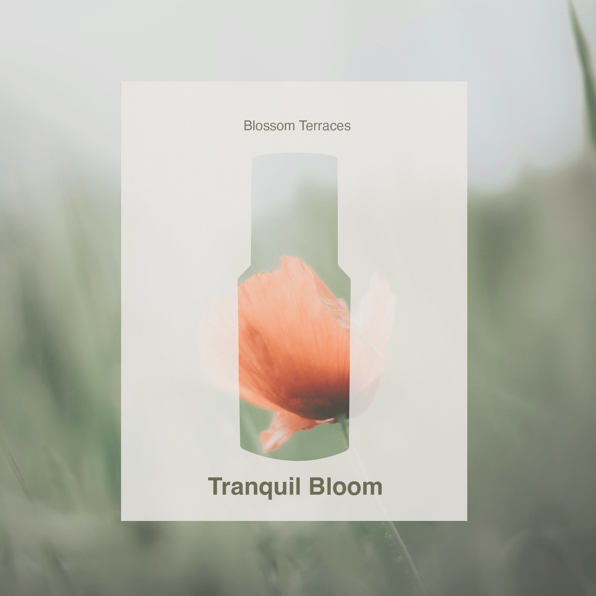 Tranquil Bloom – Room & Linen Spray · 50ml