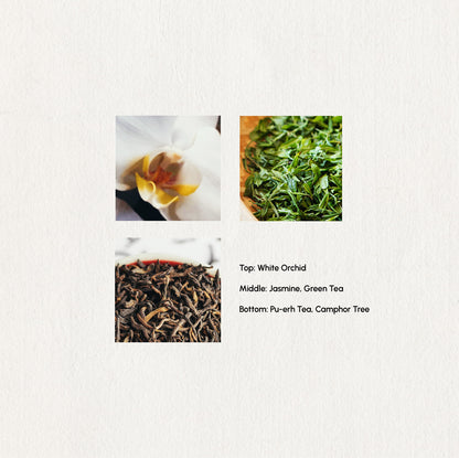 Breezy Leaves – Essential Oil Blend · 5ml