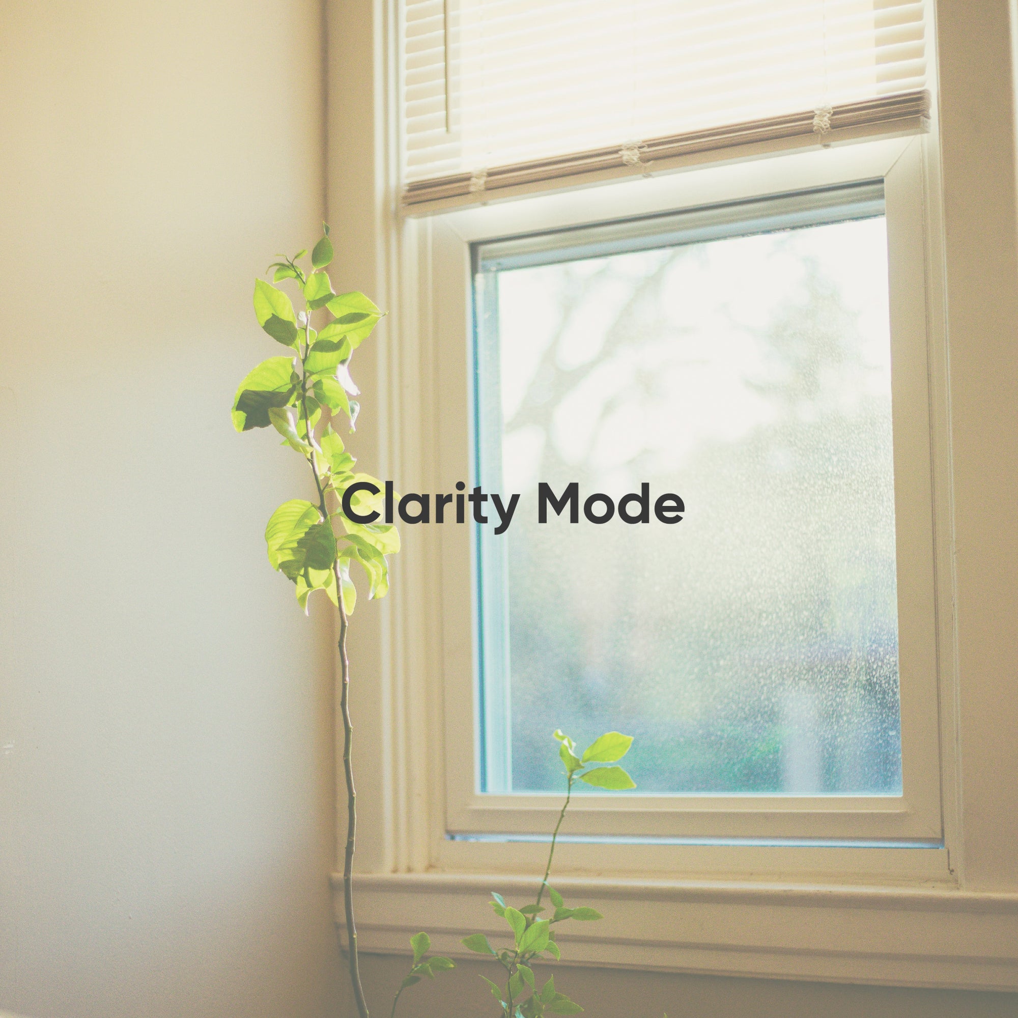 Window with a plant on a light-colored wall, labeled &