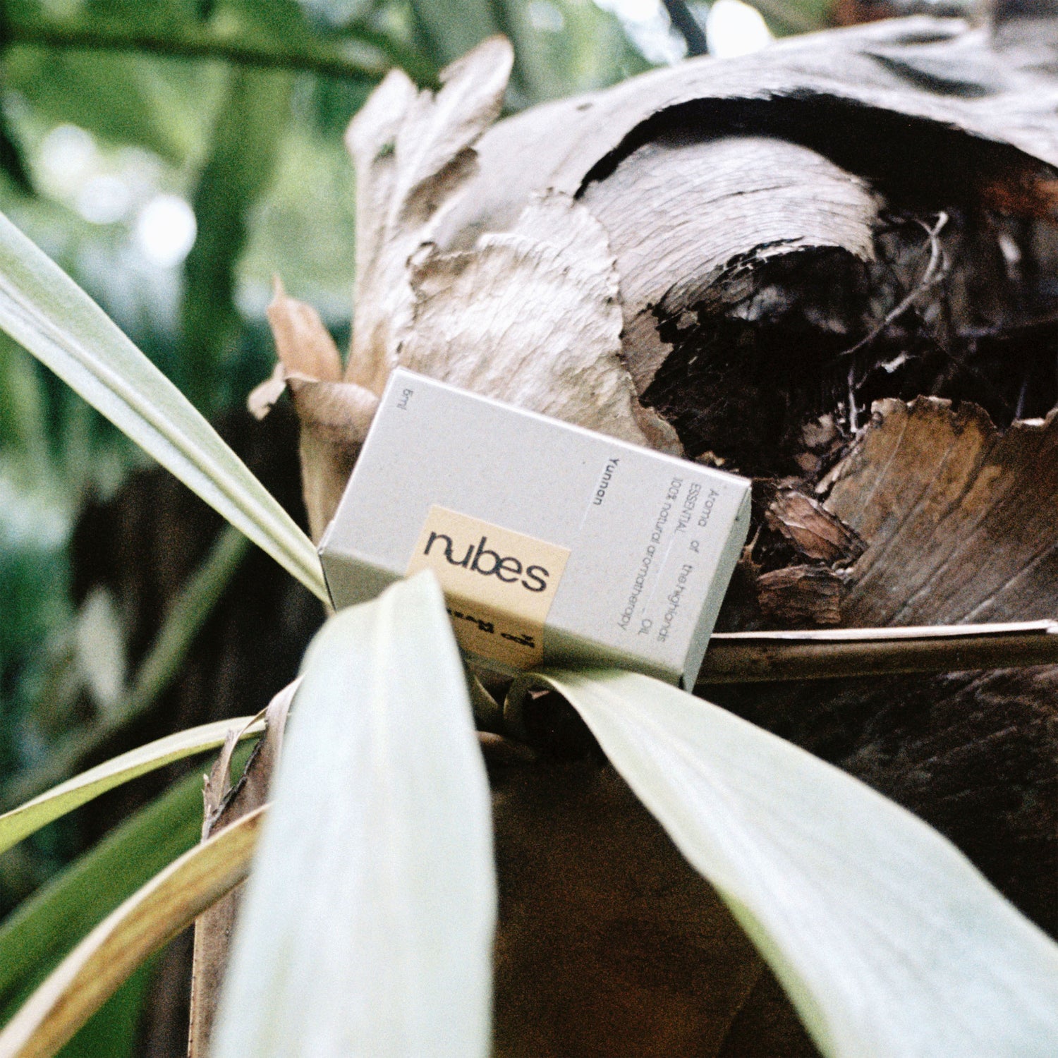 Dreamy Moon Essential Oil Blend · 5ml