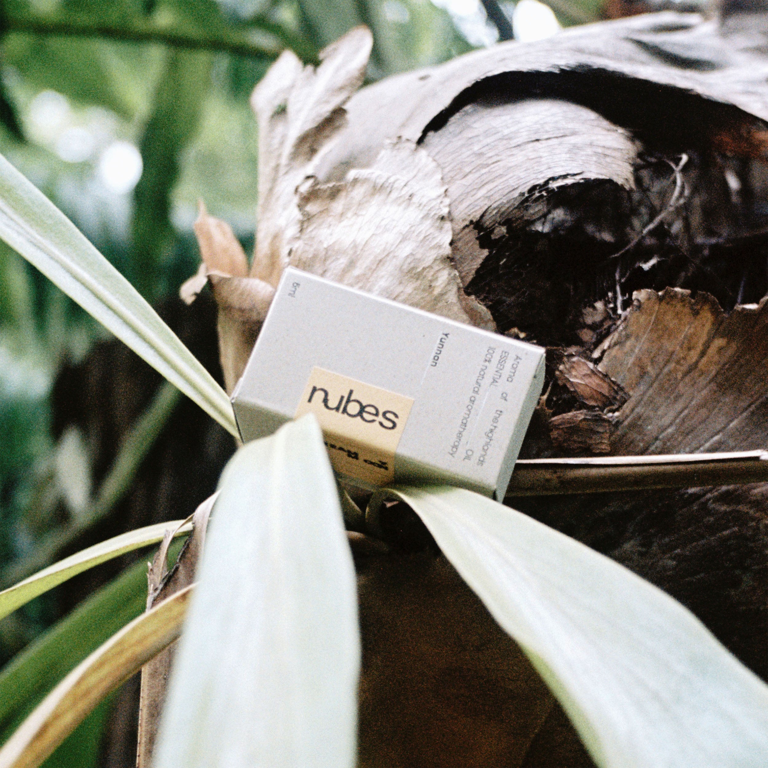 Dreamy Moon Essential Oil Blend · 5ml