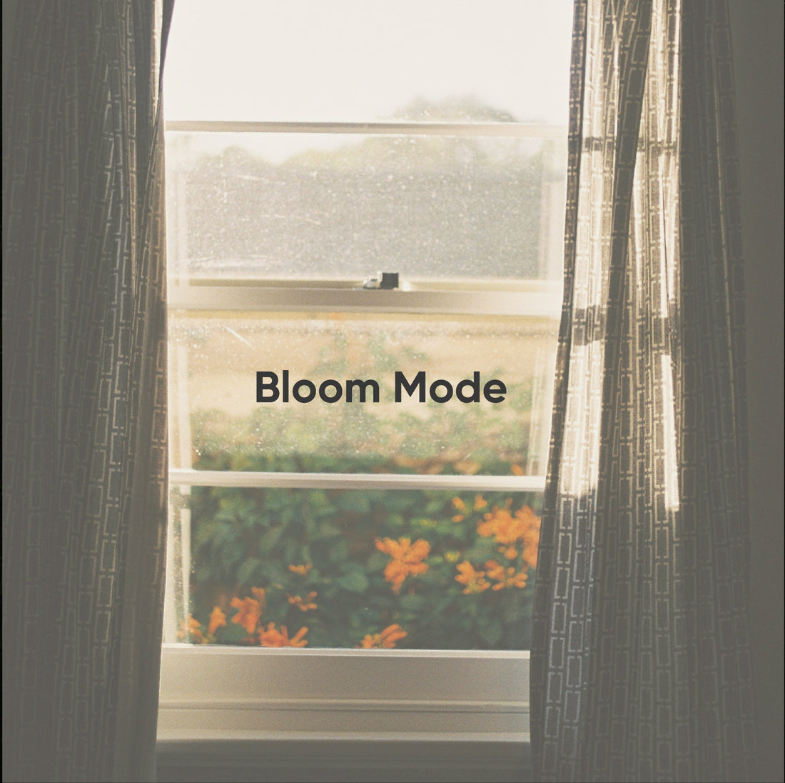 Window with view of greenery and text &