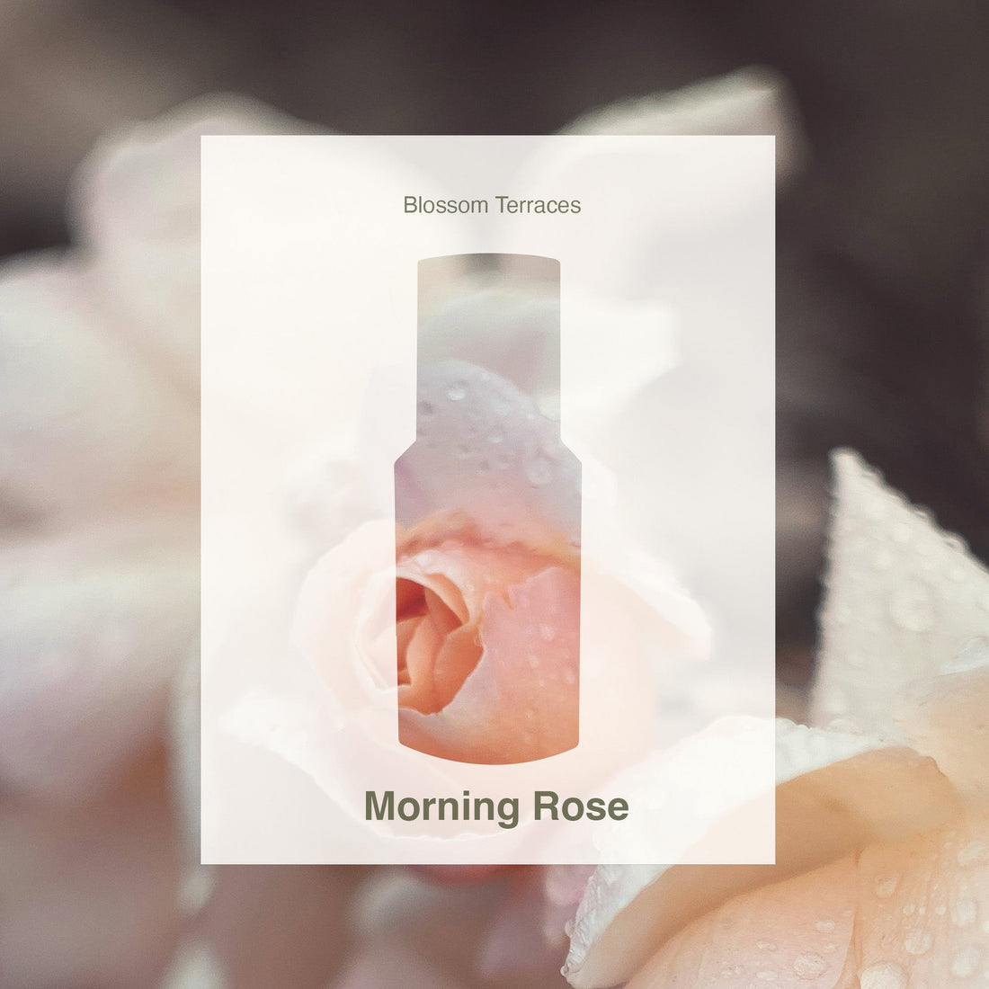 Morning Rose – Room &amp; Linen Spray · 50ml