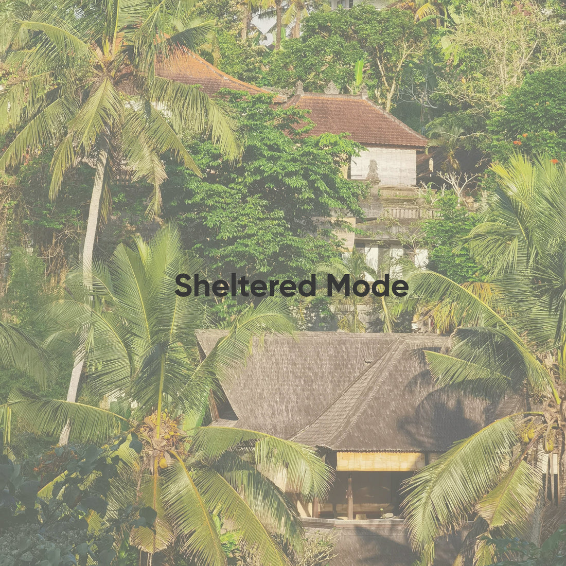 Tropical house hidden among green trees with &