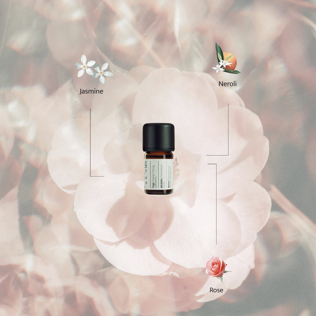Essential oil bottle with illustrated notes of jasmine, neroli, and rose, set against a soft-focus blush flower background representing Exotic Garden’s floral scent.