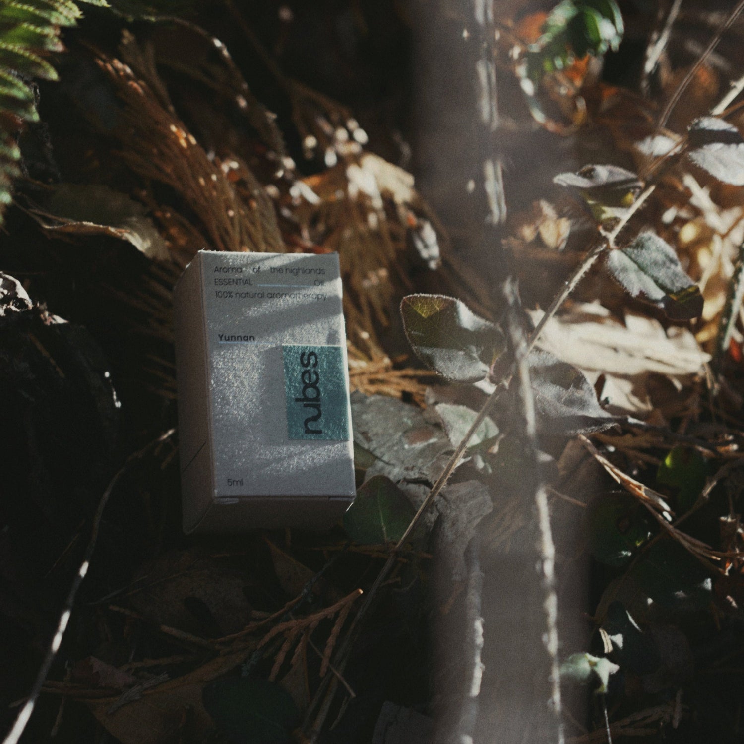 Nubes Serene Forest Essential Oil box nestled in a forest setting with natural light.
