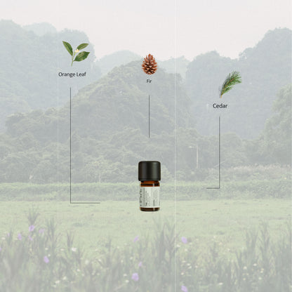 A 5ml essential oil bottle labeled “Serene Forest” surrounded by cedar, orange leaf, and oakmoss, placed against a misty forest backdrop, evoking a grounding and tranquil mood.