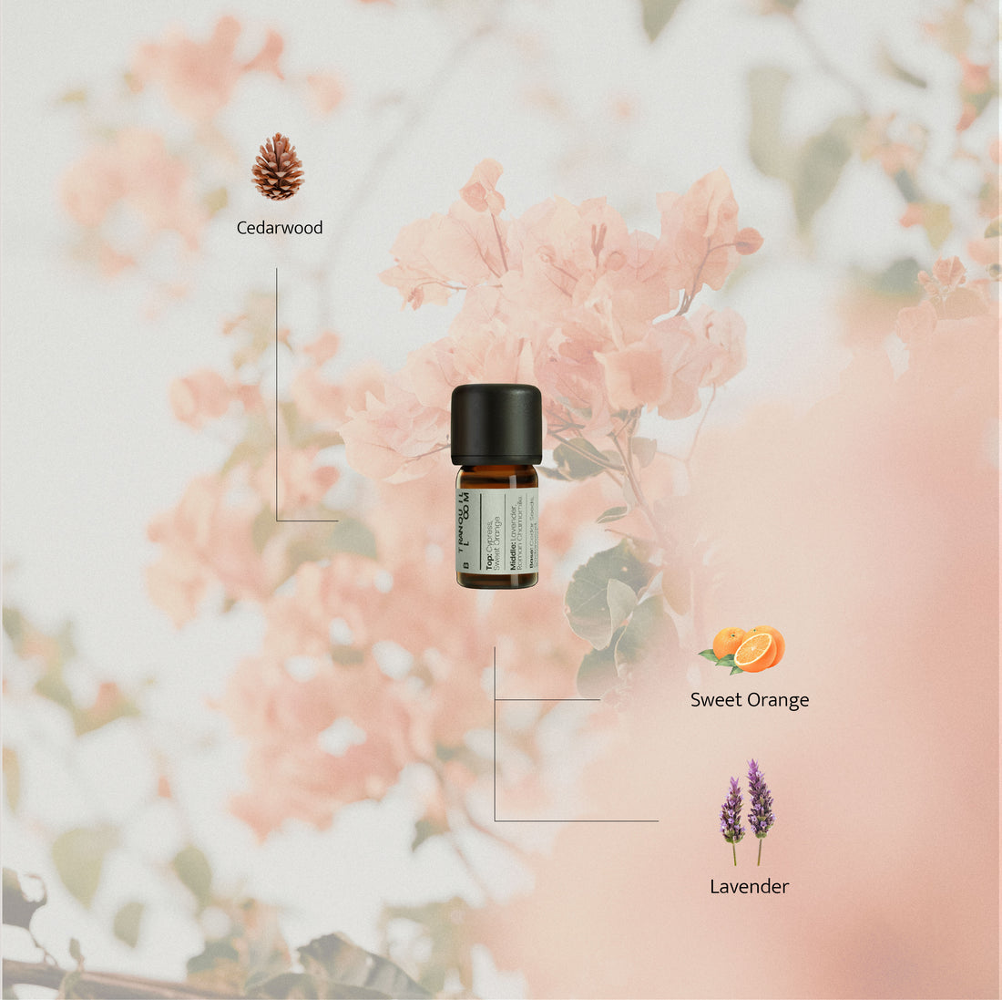 A 5ml amber essential oil bottle placed at the center, surrounded by illustrated ingredients—cedarwood, sweet orange, and lavender—set against a soft floral background with pale pink blossoms and natural sunlight, evoking a gentle and calming mood.
