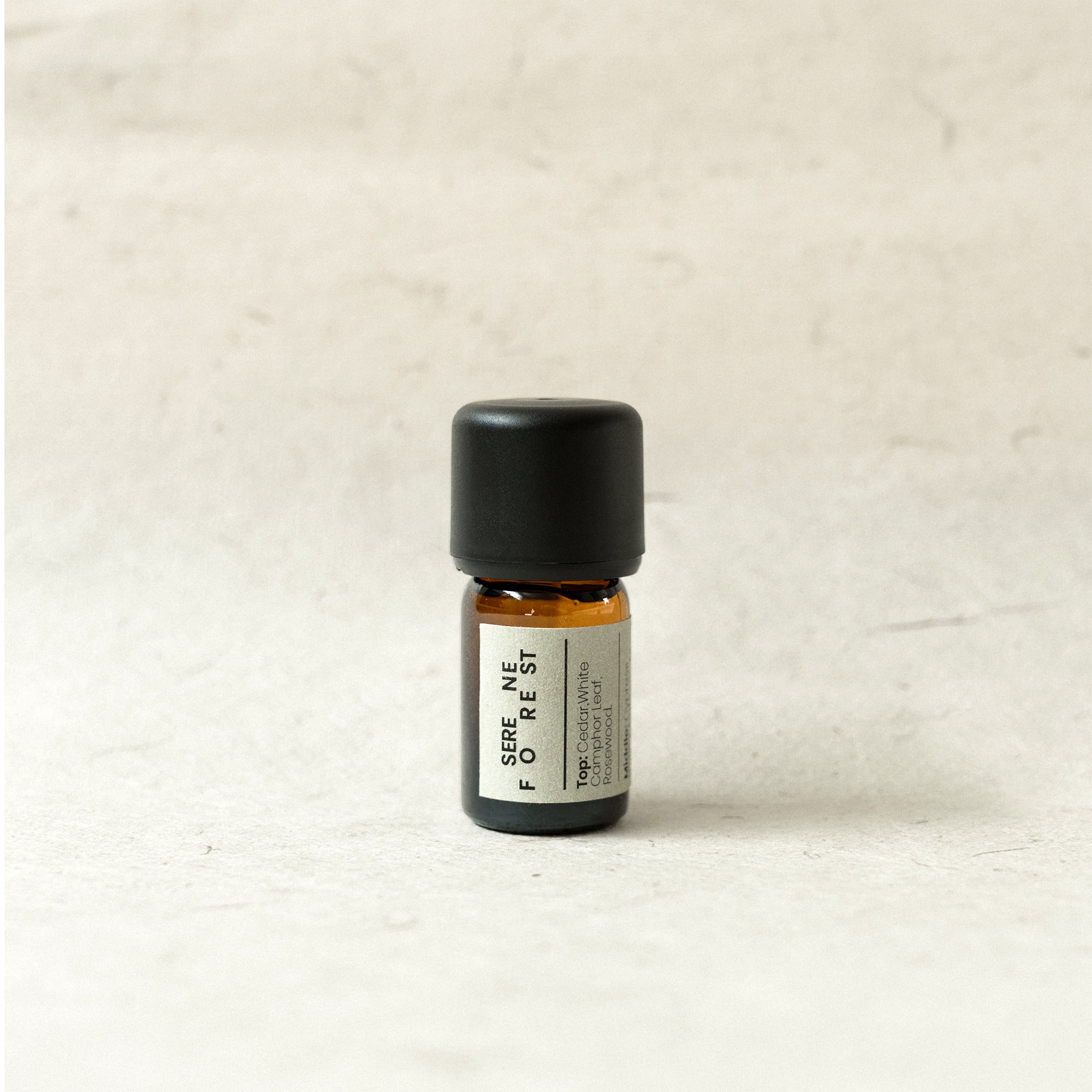 Serene Forest – Deep &amp; Rooted