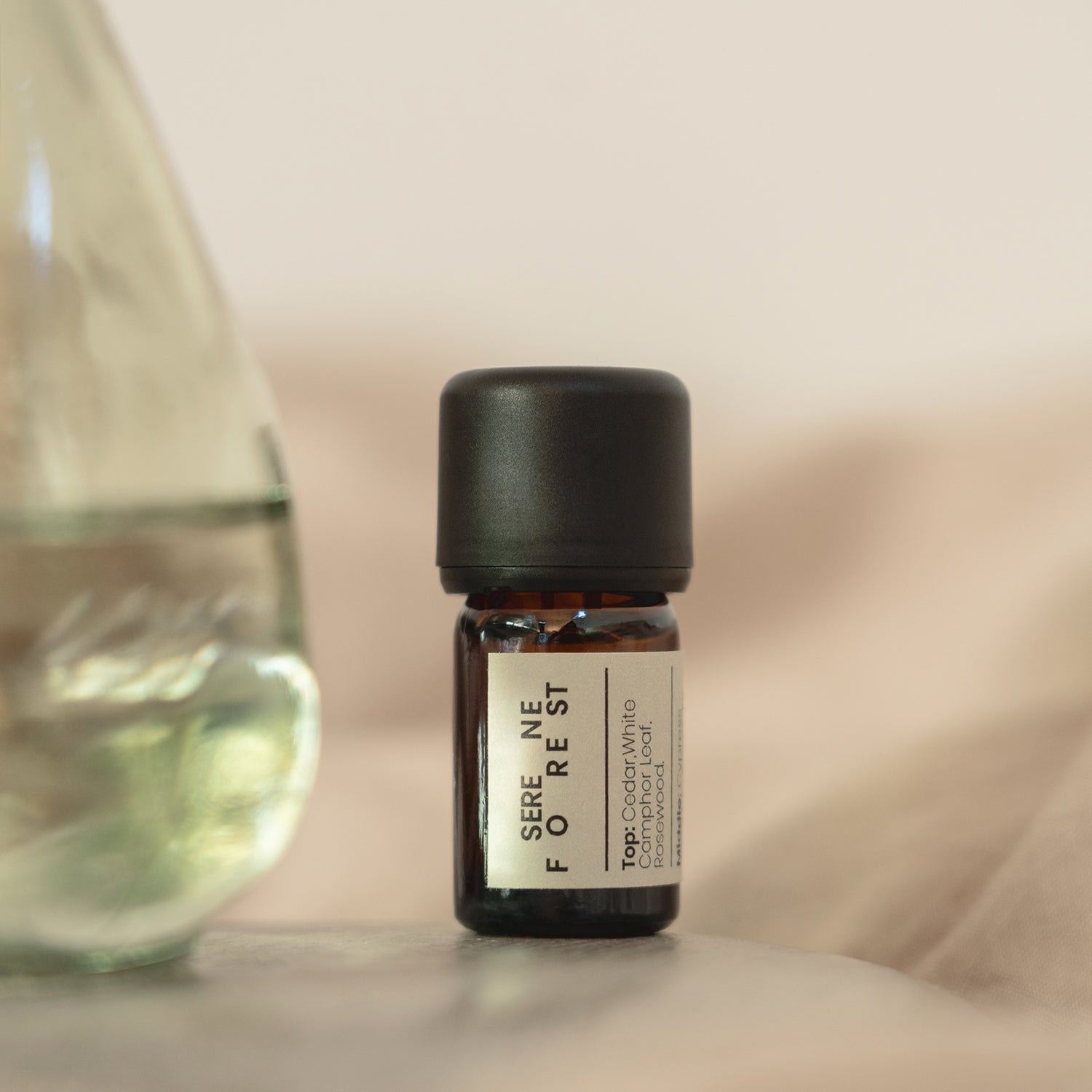 Serene Forest Essential Oil Blend · 5ml