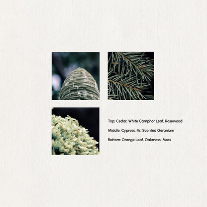 Serene Forest – Essential Oil Blend · 5ml