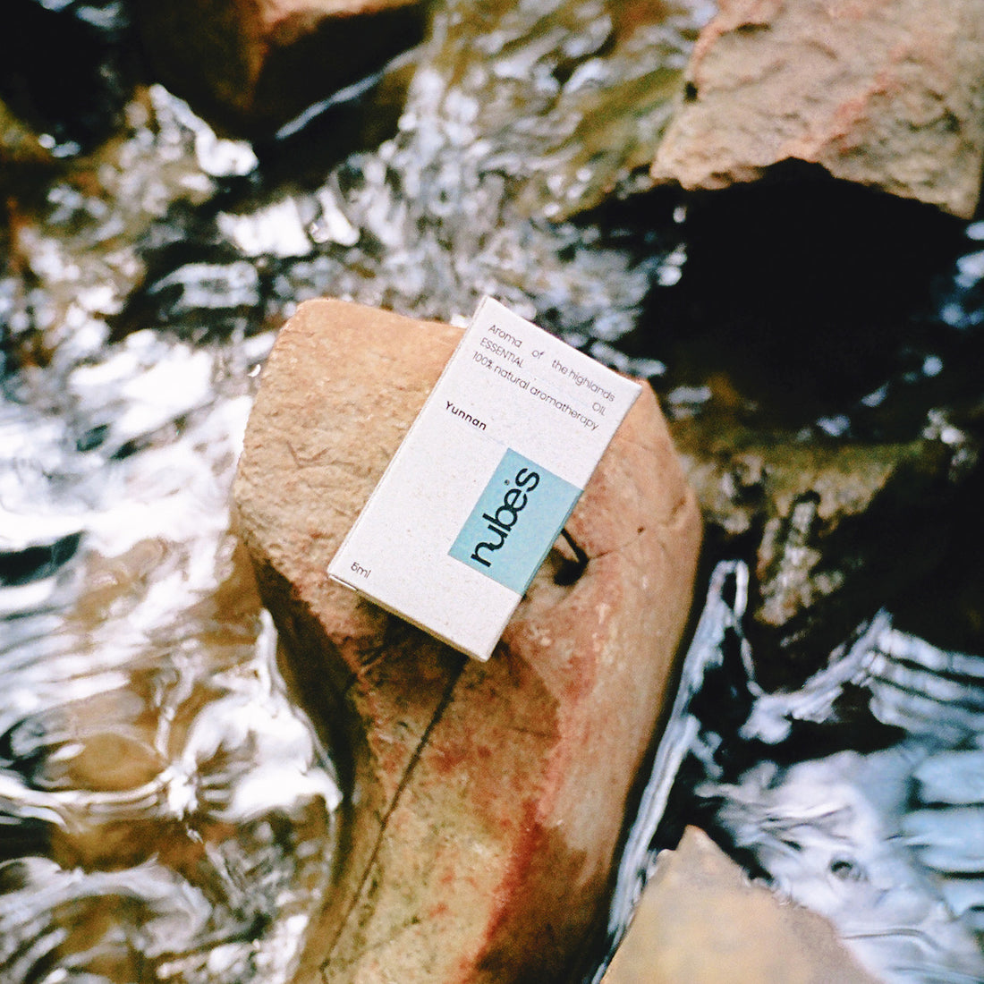 Serene Forest Essential Oil Blend · 5ml