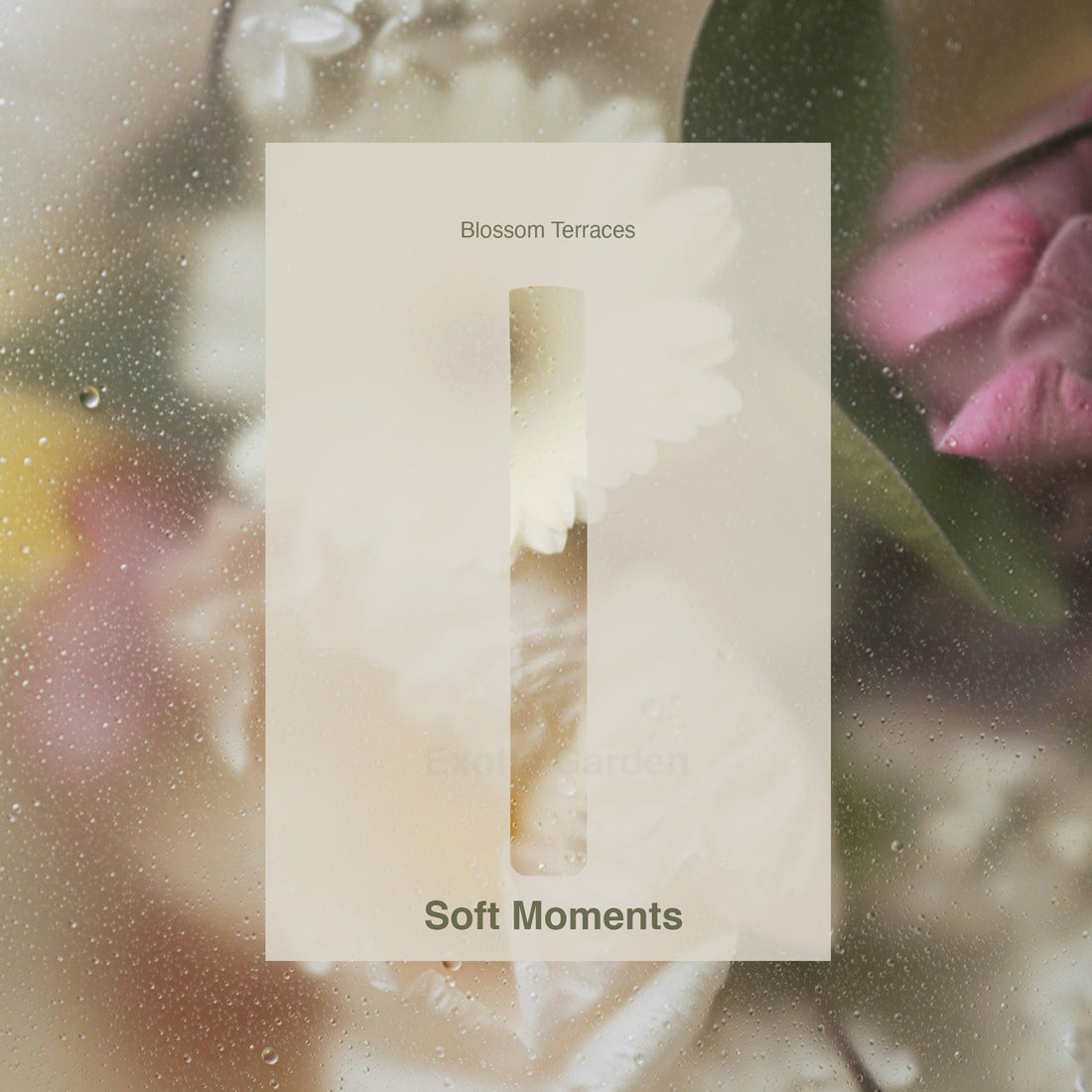 Soft Moments – Roll-On Essential Oil · 10ml