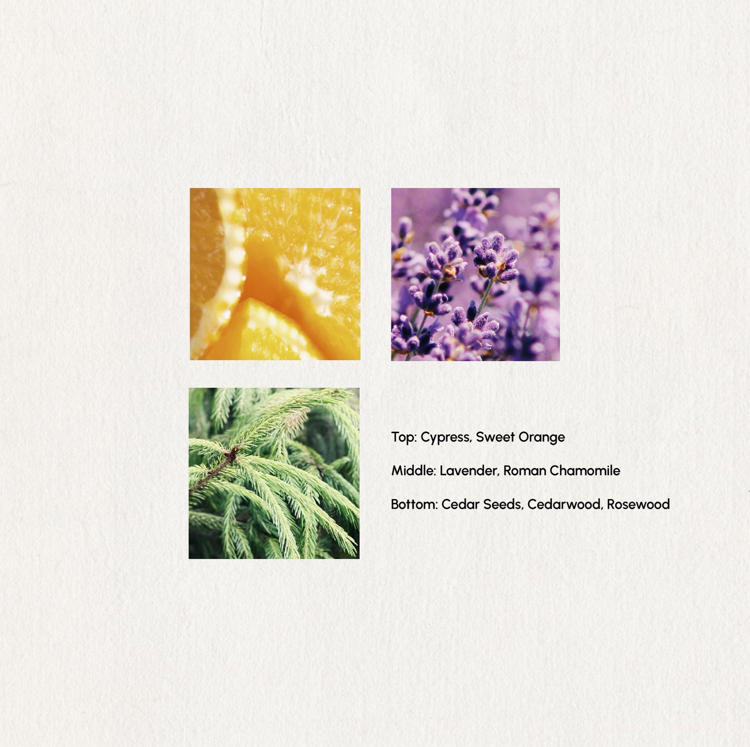 Tranquil Bloom – Essential Oil Blend · 5ml